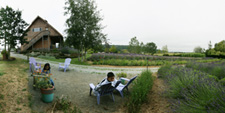 panorama